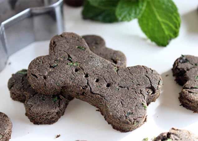 7 DIY Healthy Treats to Cure Bad Doggie Breath Ollie Blog