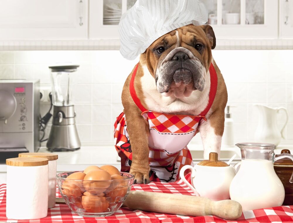 Homemade dog treats outlet for english bulldogs