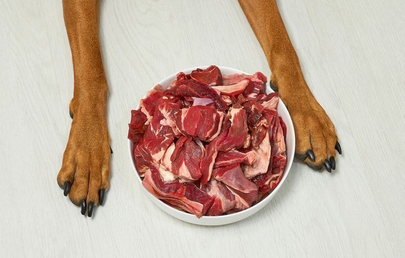 Will raw clearance meat hurt dogs