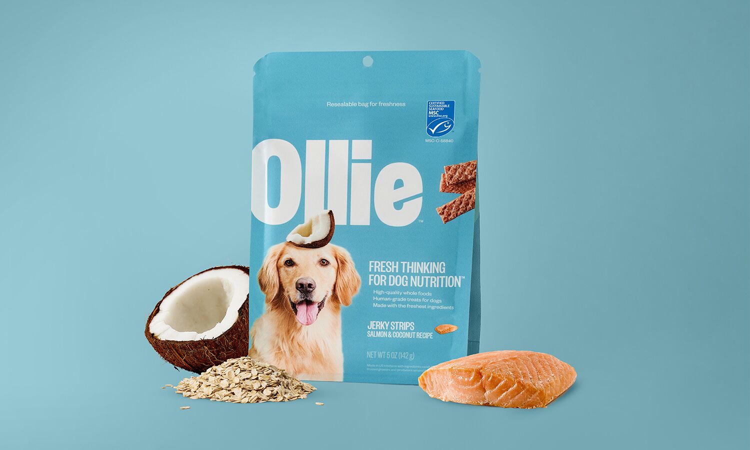 Ollie dog food login best sale