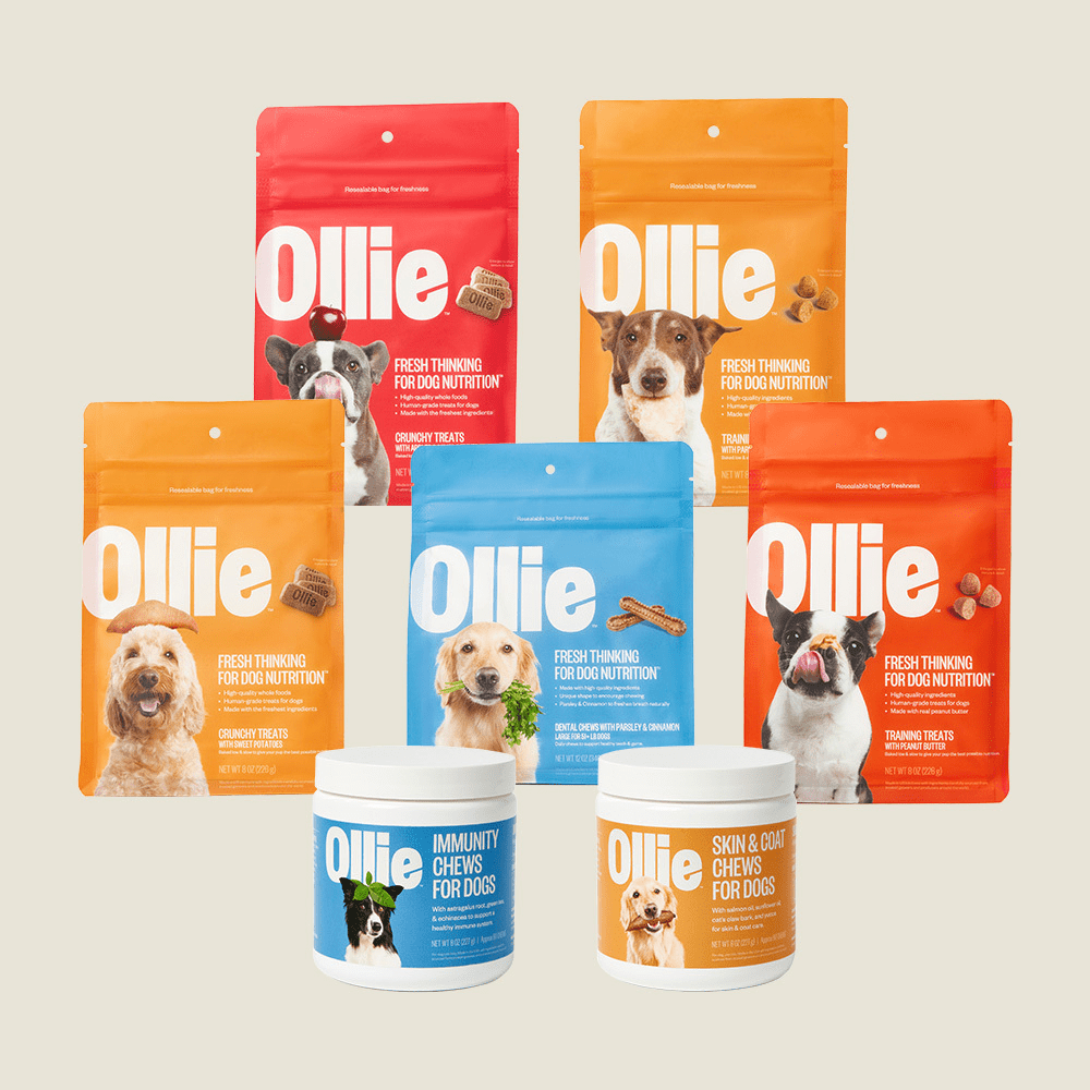 High quality clearance puppy treats